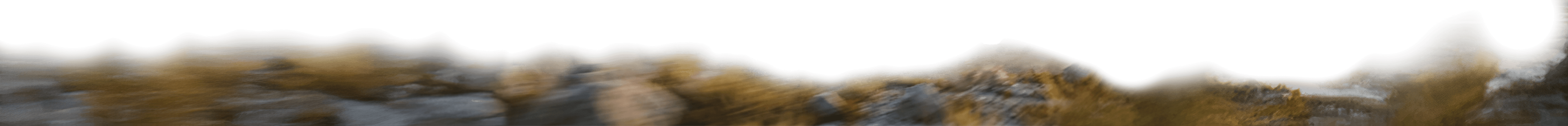 premier plan paysage